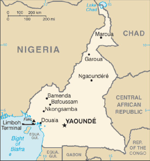 Karte für einen Freiwilligendienst in Kamerun